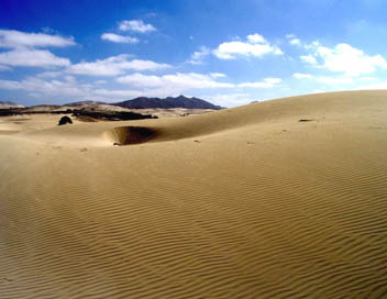 Gros plan sur la nature - Le dsert du Namib