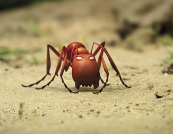 Minuscule - Les fourmis
