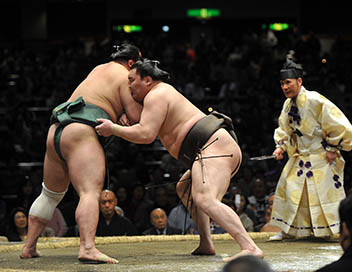 Sumo (Fight Sports Grand Sumo)