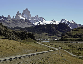 Plante insolite - La Patagonie, route 40