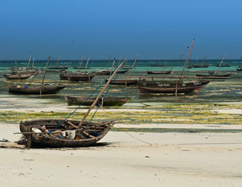 Iles de beaut - Zanzibar