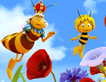 Maya l'abeille - Un ami pour le chne