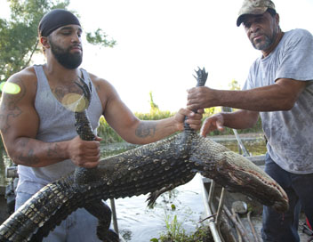 Swamp People : Chasseurs de croco - Prise de bec