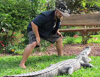 Gator Boys : au secours des alligators - La chasse au trsor