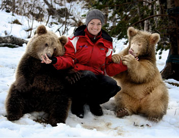 Poivre et Sel, deux oursons en Arctique - Le printemps