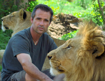 Grandeurs nature - Kevin Richardson, l'homme qui murmure  l'oreille des lions