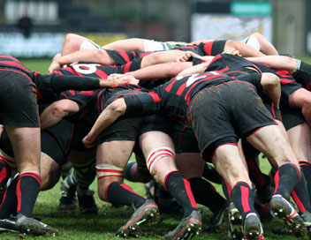 Rugby (Toulouse (Fra) / London Wasps (Ang))