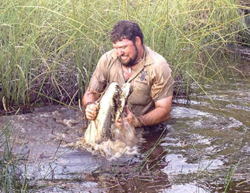 Gator Boys : au secours des alligators - Un sauvetage qui tourne mal