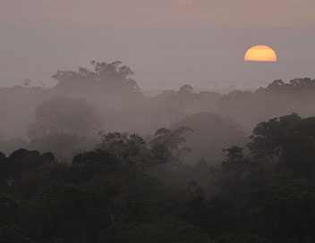 Un matin sur Terre - Brsil, au coeur de l'Amazonie