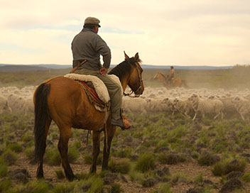 Patagonie dernier paradis sauvage - Terres de steppes