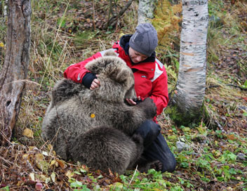 Poivre et Sel, deux oursons en Arctique - En juillet
