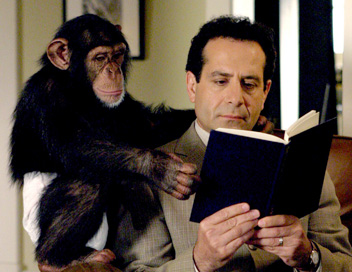 Monk - Monk et le chimpanz