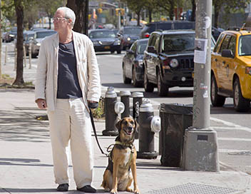 Un homme, un chien, un pick-up - Sur les traces de l'Amrique - New York, NY