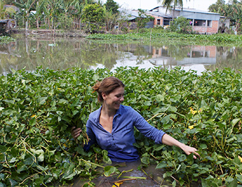 Les aventures culinaires de Sarah Wiener en Asie - Les rouleaux de printemps au Vitnam