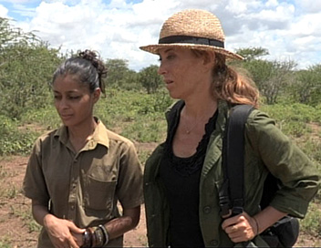 Les nouveaux explorateurs - Cline Hue au Kenya