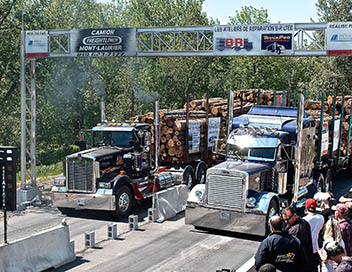 Trucks non stop - Le doyen