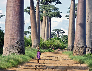 Vu sur Terre - Madagascar