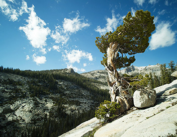 Les parcs nationaux amricains - Yosemite