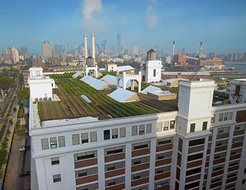Sur les toits des villes - New York