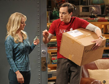 The Big Bang Theory - Le mal de l'espace