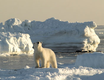 Rvolutions dans la nature - La fonte des glaces en Arctique