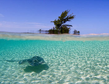 La splendeur des Bahamas - Bancs de sable